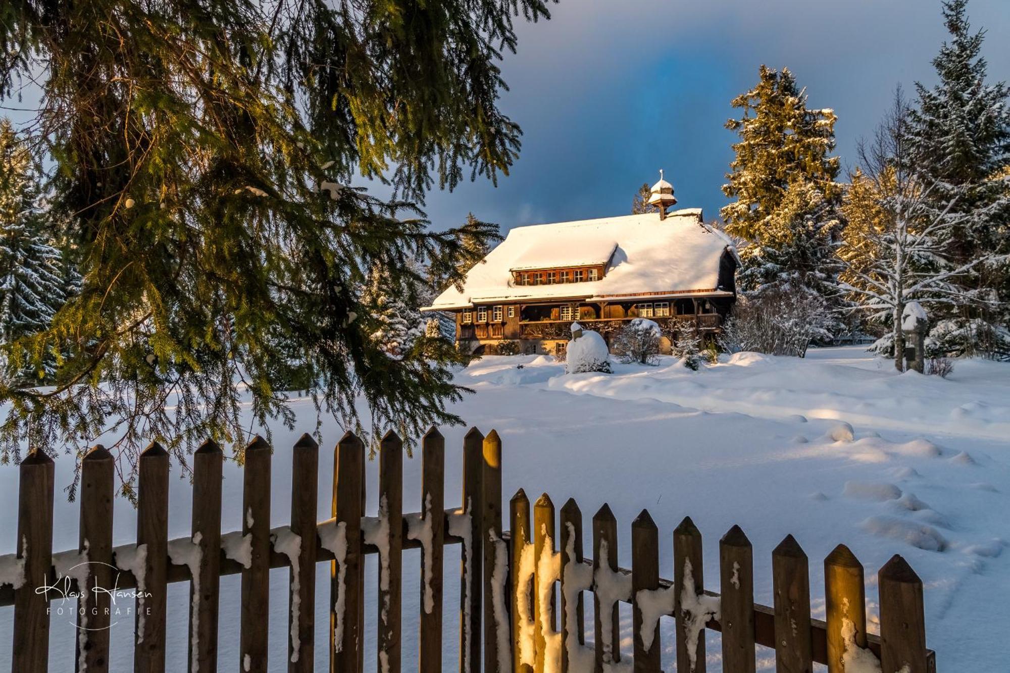 Haus Elisabeth - Ferienwohnung Hirschsprung, 2 Schlafzimmer, Feldberg Neuglashutten Exterior photo